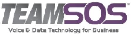 TEAMSOS logo
