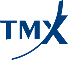 TMX GROUP logo