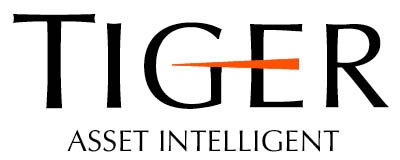 Tiger Group logo