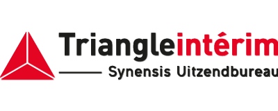 Triangle logo