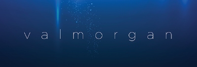 Val Morgan logo
