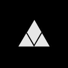 Vexterra Group logo