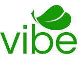 Vibe srl logo