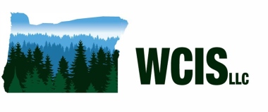 WCIS, LLC logo
