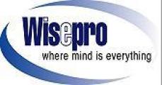 Wisetek Providers, Inc logo