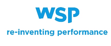 WSP Systems B.V. logo
