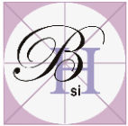 B&H Surgical Instrument logo