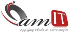 amIT Global Solutions Pvt Ltd logo