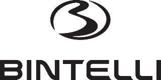 Bintelli logo
