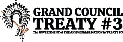 Grand Council Treaty #3 logo