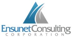Ensunet Technology Group logo