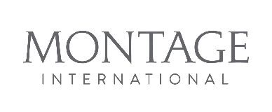 Montage International logo