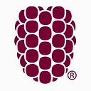 Dewberry logo