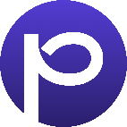 Paywize logo