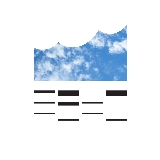 Elbphilharmonie und Laeiszhalle Betriebsgesellschaft mbH logo