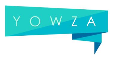 Yowza Consulting Private Limited logo