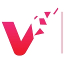 Visual Connections logo