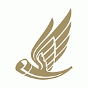 Hunting Energy Services logo