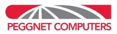 PeggNet, LLC logo