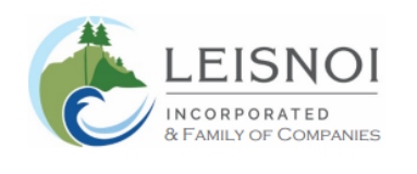 Leisnoi, Inc. logo