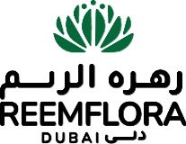 Reemflora Logo