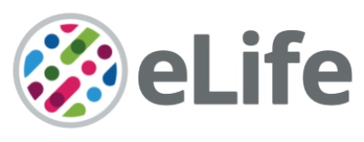 eLife Sciences Publications, Ltd logo
