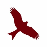 Red Kite Community Housing logo