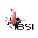 IBSI logo