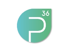 p36 GmbH logo