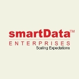 smartData Enterprises logo