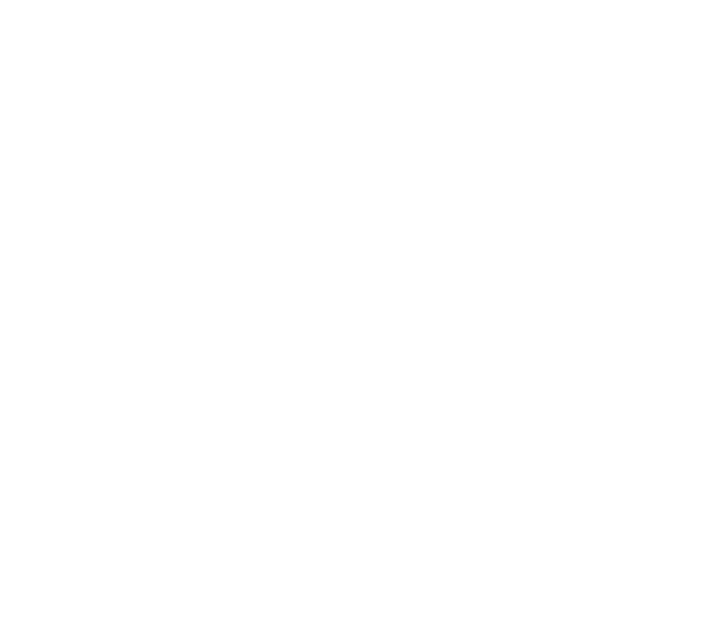 Vori logo