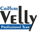 Velly Blue GmbH logo