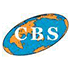 Central Business Solutions logo