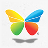 Vidushi Infotech logo