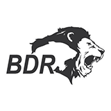 BDR Pharmaceuticals logo