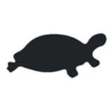 Black Turtle logo