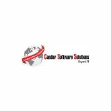 Candor Software Solutions logo