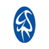 GSN Consulting logo