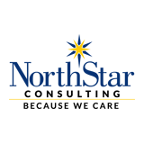 North Star Consulting logo