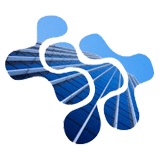 Vipsa Talent Solutions logo