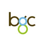 BGC Group Pte Ltd logo