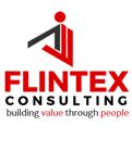 Flintex Consulting Pte Ltd logo