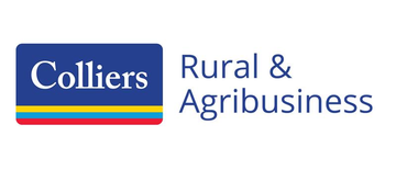 Colliers logo