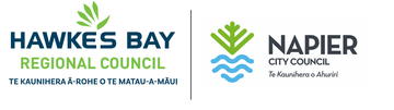 Napier City Council logo