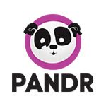 Pandr Outsourcing logo
