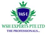 WSH Experts Pte Ltd logo