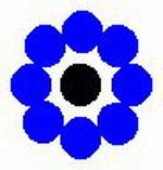 Coim Asia Pacific Pte Ltd logo