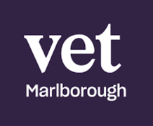 Vets Central logo