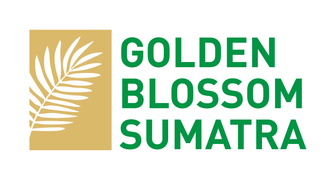 IT Infrastructure Officer Jakarta - PT Golden Blossom Sumatra