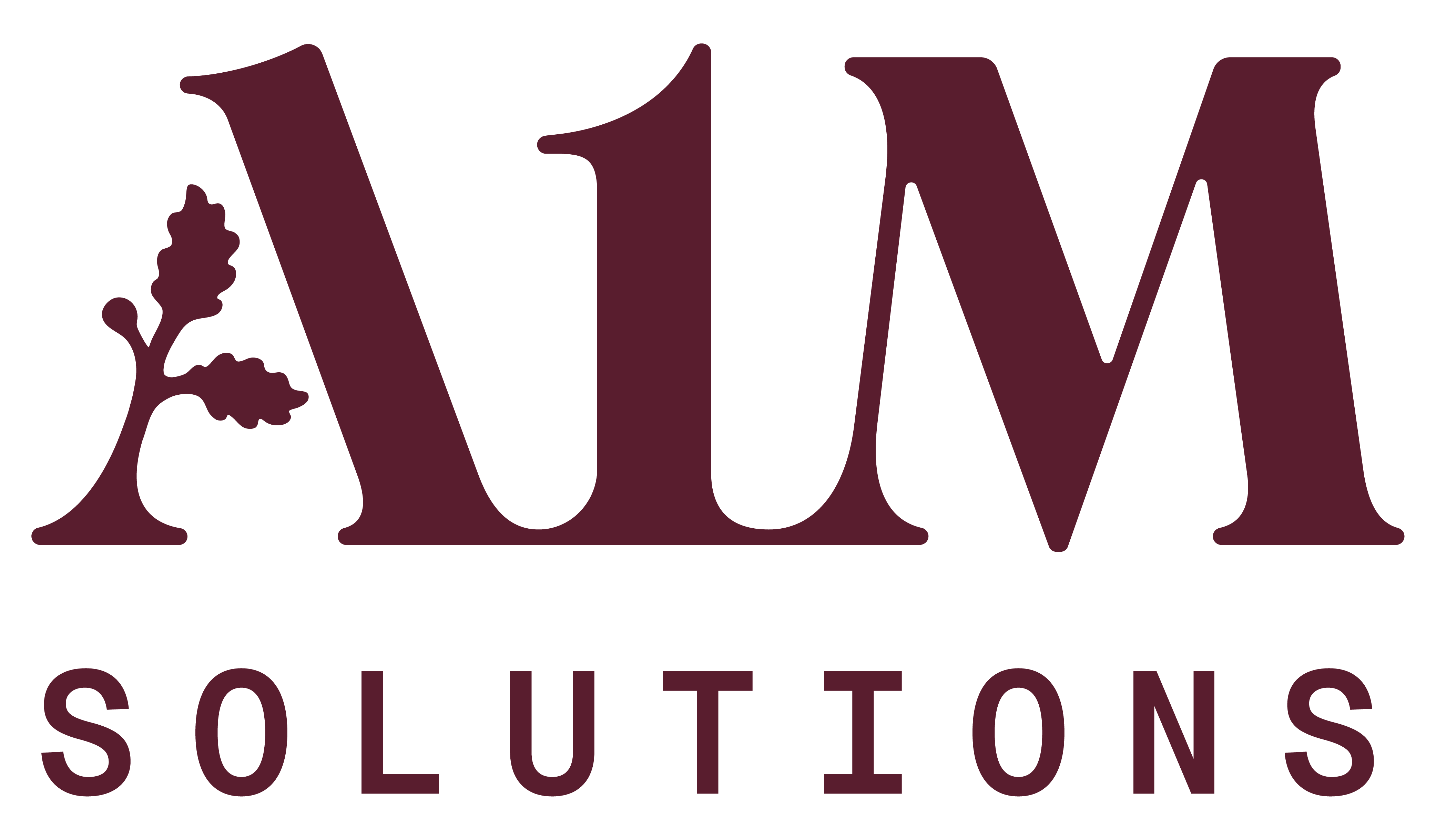 A1M Solutions logo